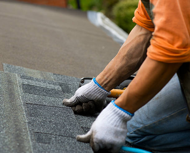Best Roof Gutter Cleaning  in Pratt, KS