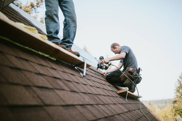 Best Roof Repair Services  in Pratt, KS